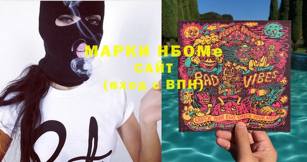 стаф Алзамай