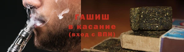 стаф Алзамай