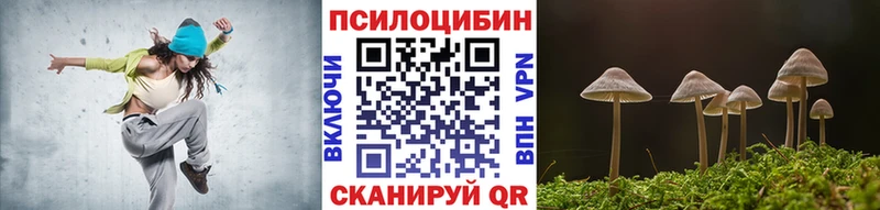 площадка формула  mega ТОР  Кирсанов  Псилоцибиновые грибы мицелий 