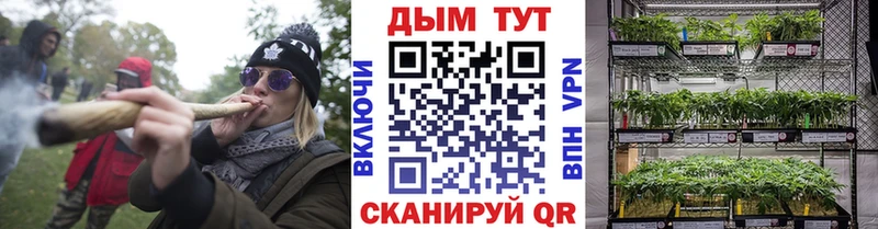 Конопля тримм  Кирсанов 